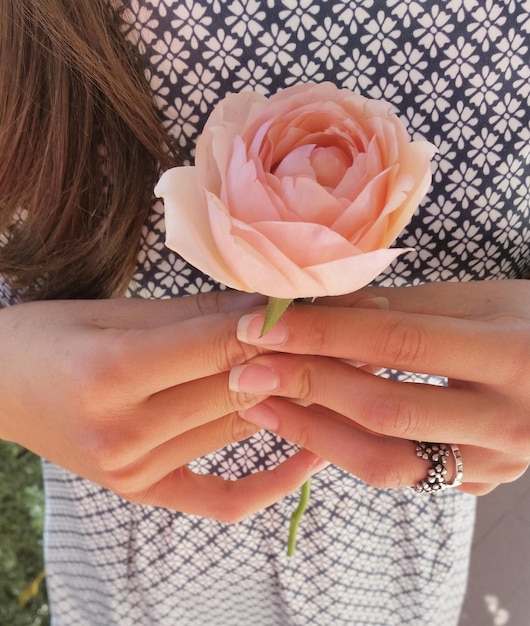 Sezione centrale di una donna che tiene in mano una rosa