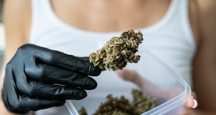 Foto sezione centrale di una donna che tiene la marijuana