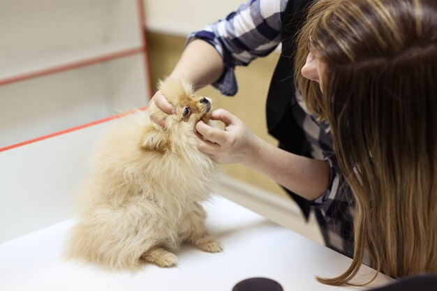 Sezione centrale di una donna con un cane