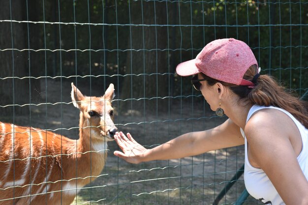 Sezione centrale di una donna con un cervo contro la recinzione nello zoo