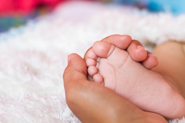 Sezione inferiore dei piedi del bambino