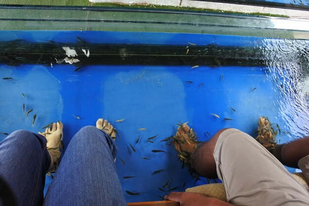 Sezione inferiore delle persone che nuotano in acquario