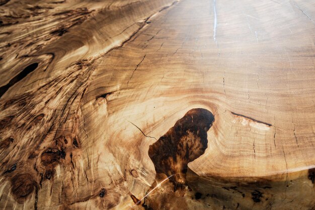 Sezione trasversale della superficie di legno dell'albero di olmo. Trama lastra dal vivo. Tavolo in legno massello di olmo con imbottitura in resina epossidica. Piano di lavoro in legno. Falegnameria, falegnameria, produzione mobili. Profondità di campo.