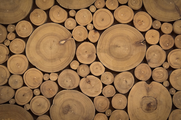 Sezione trasversale di legno del ceppo per fondo e struttura