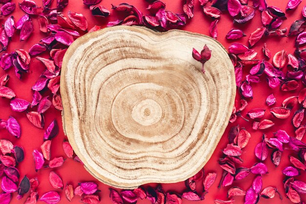 Sezione trasversale in legno tagliata con petali di fiori sulla superficie rossa