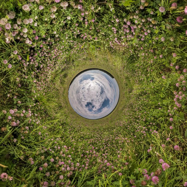 Sfera blu piccolo pianeta all'interno di erba verde cornice rotonda sullo sfondo