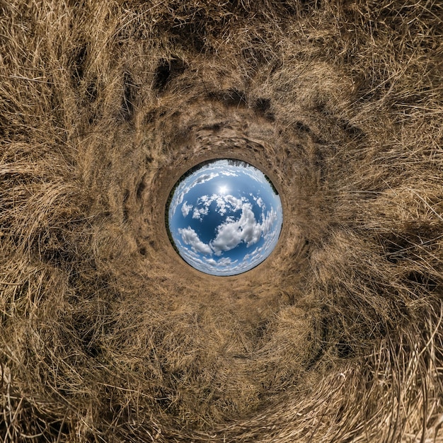 Sfera blu piccolo pianeta all'interno di erba verde cornice rotonda sullo sfondo