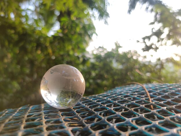 Sfera di cristallo terrestre con alba e sfondo di piante verdi