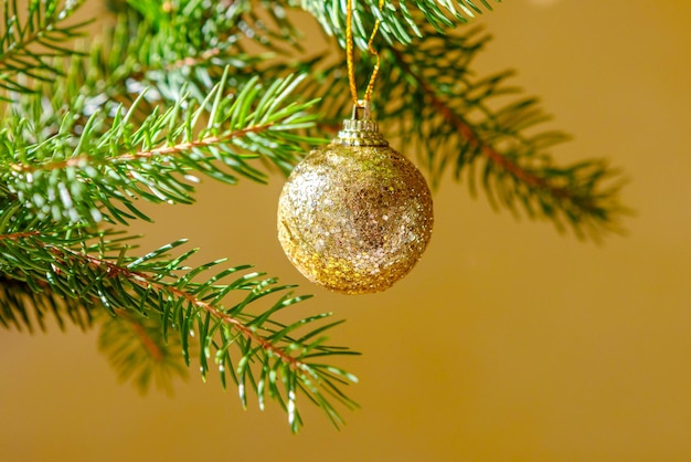 Sfera dorata di natale brillante su un ramo di abete verde su uno sfondo giallo chiaro