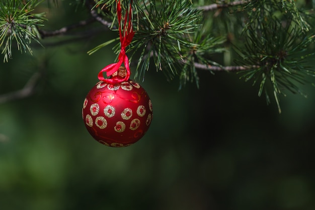 Sfere di natale sull'albero di Natale