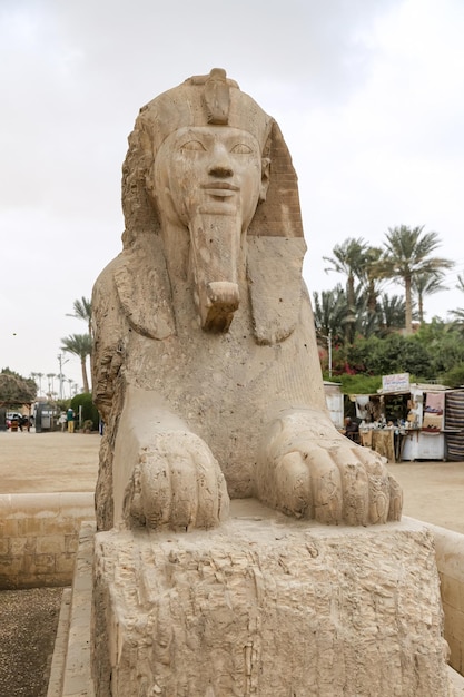 Sfinge a Memphis Il Cairo in Egitto