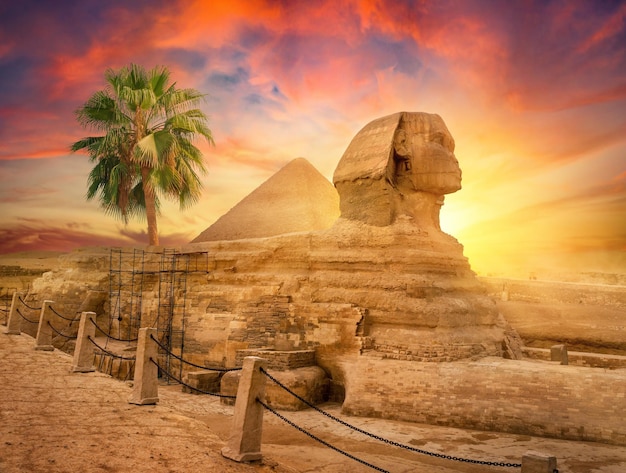 Sfinge egiziana nel deserto