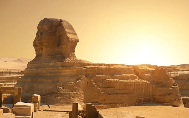 Sfinge nel deserto di Giza, Egitto