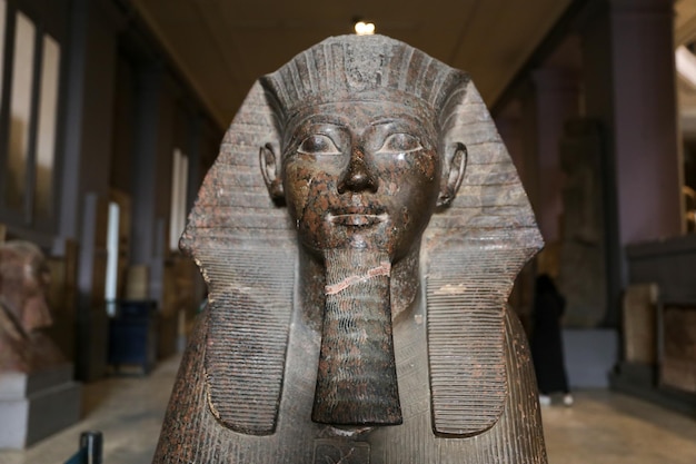 Sfinge nel Museo Egizio Cairo Egitto