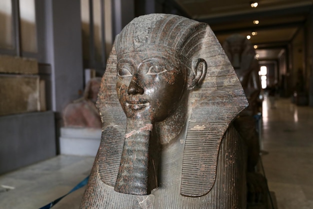 Sfinge nel Museo Egizio Cairo Egitto