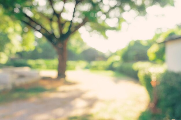 Sfocalizzato o sfocato con lo sfondo bokeh degli alberi del giardino in una giornata di sole
