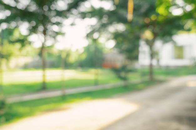 Sfocalizzato o sfocato con lo sfondo bokeh degli alberi del giardino in una giornata di sole