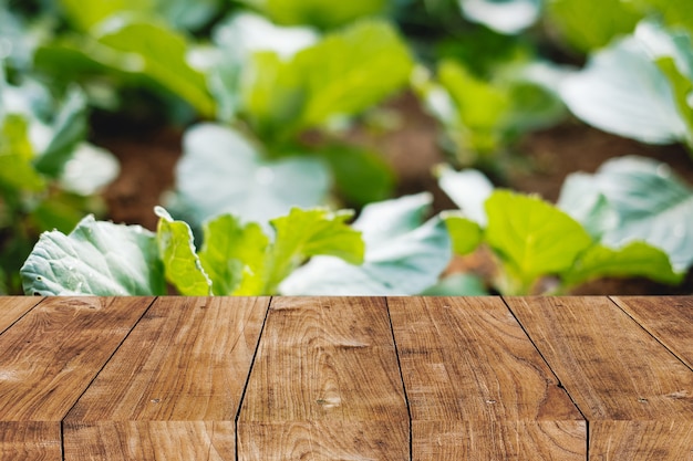 Sfocatura della pianta dell'orto domestico nel cortile con spazio in primo piano del ripiano del tavolo in legno per uno sfondo pubblicitario naturale