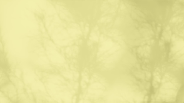 Sfocatura parete arancione con ombra foglie autunno sfondo giallointerno vecchia superficie ruvida trama pavimento pietra motivo sporco pavimento e materiale leggero morbido all'interno sfondo sfondostanza soppalcata