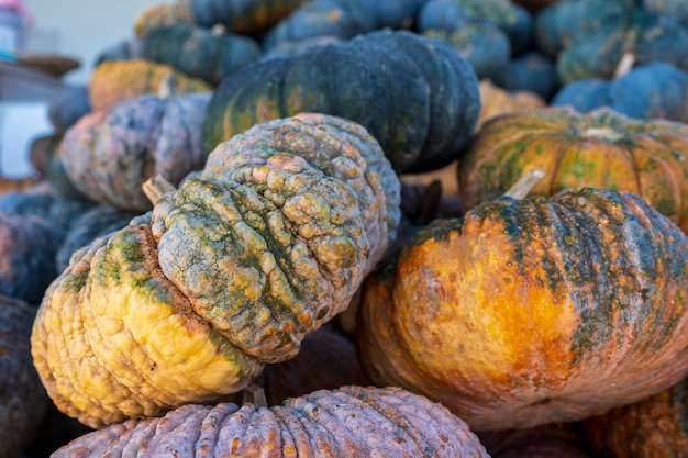 Sfondamento a consistenza di zucca da vicino