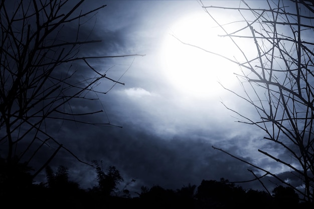 Sfondamento dell'orrore