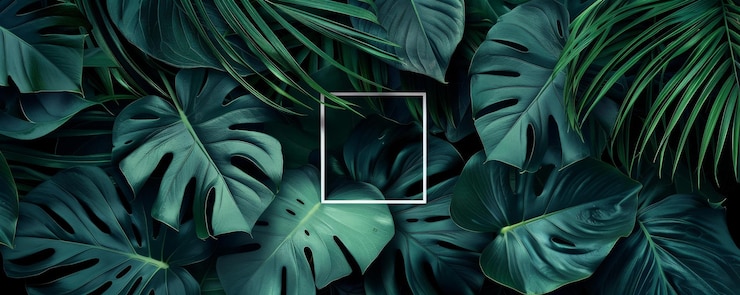 Foto sfondi decorativi per telefoni con foglie tropicali rigogliose in una giungla buia