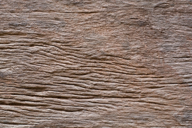 Sfondi di texture di corteccia di legno