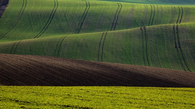 Sfondi per desktop Ultra HD 4K