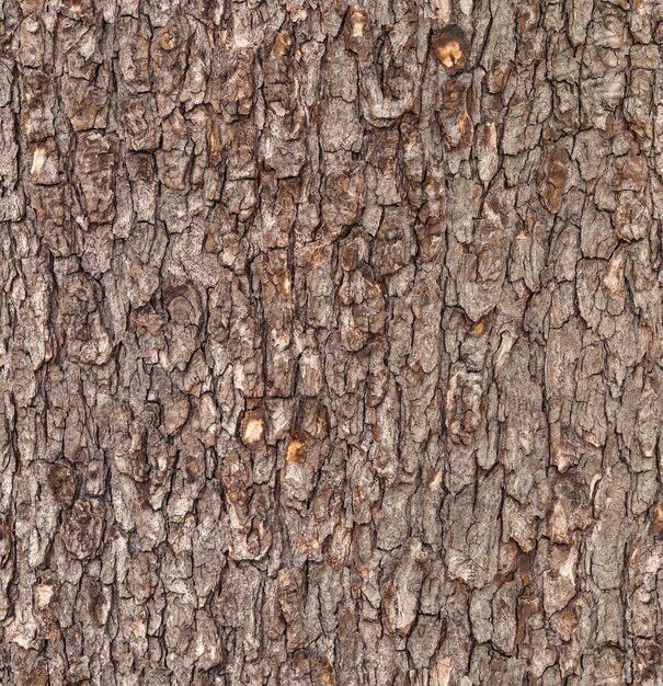 Sfondio a consistenza di grano di legno marrone vintage