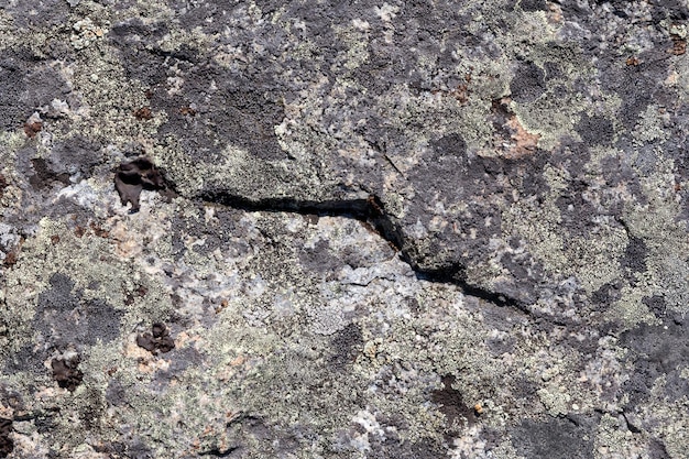 Sfondio della struttura naturale della parete rocciosa Una superficie in pietra dettagliata per un design rustico e organico
