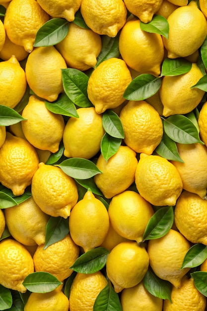 Sfondio di limoni freschi Sfonto di agrumi di limoni
