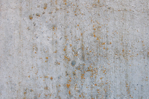 Sfondio in cemento di consistenza grigia