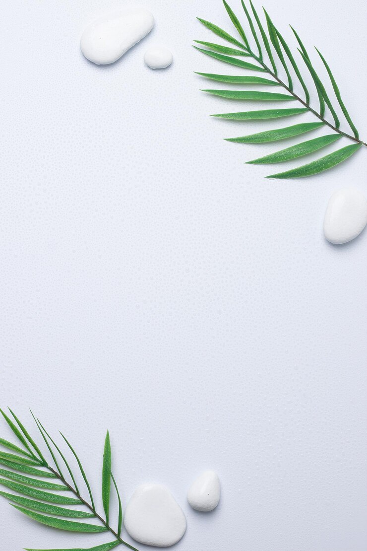 Foto sfondio spa con pietre bianche gocce d'acqua e foglie di palma su spazio bianco piatto laycopy