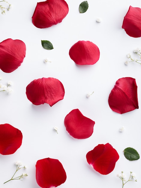 Sfondo a contrasto con petali di rose rosse su bianco, piatto laici