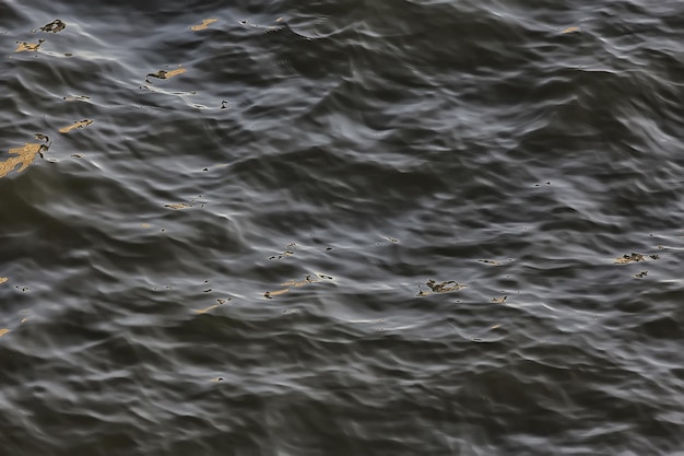 sfondo acqua onde del lago / bella struttura dell'acqua