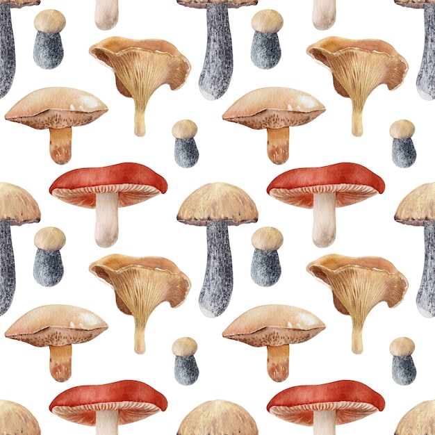 Sfondo acquerello con diversi tipi di funghi
