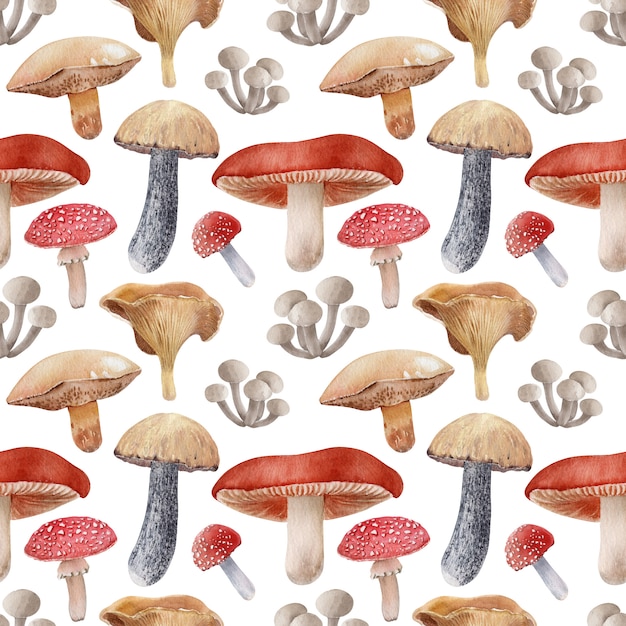 Sfondo acquerello con diversi tipi di funghi