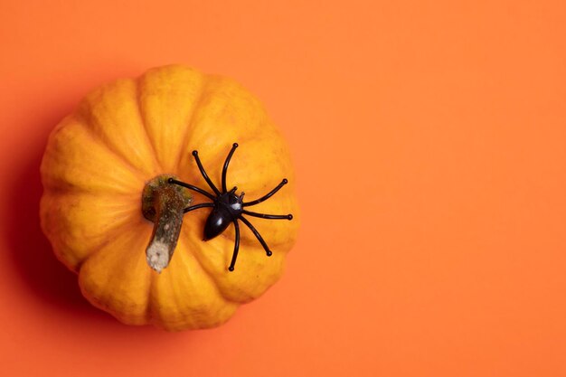 Sfondo arancione di halloween con zucche e ragni