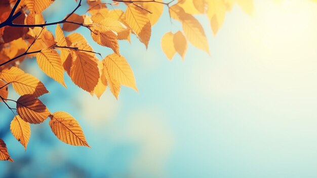 sfondo astratto autunno ramo di olmo con foglie gialle su uno sfondo con uno spazio di copia cielo ottobre