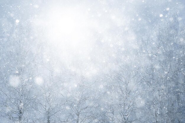 sfondo astratto della foresta di nevicate, fiocchi di neve bianchi cadono nel paesaggio della foresta, sfondo di natale