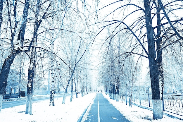 sfondo astratto paesaggio foresta invernale / rami di alberi coperti di brina, tempo nevoso sfondo natalizio