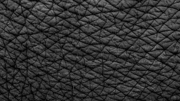 Sfondo astratto texture pelle di elefante Tessitura della pelle di elefanti asiatici Primo piano elefante asiatico rivela la consistenza della pelle animale