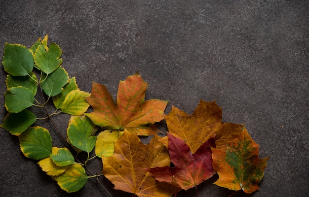 Sfondo autunnale con foglie cadute, autunno dorato, vista dall'alto, copispace