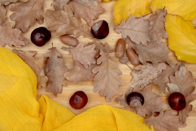 Sfondo autunnale con foglie di quercia ghiande e castagne