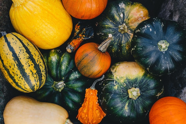 Sfondo autunnale con zucca e zucca