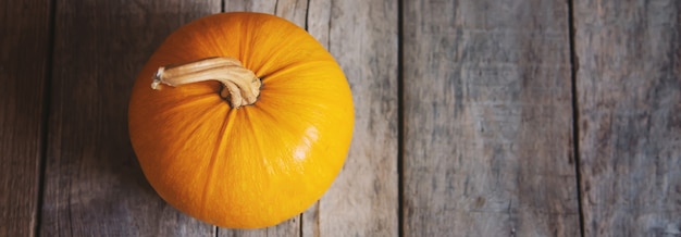 Sfondo autunnale con zucca