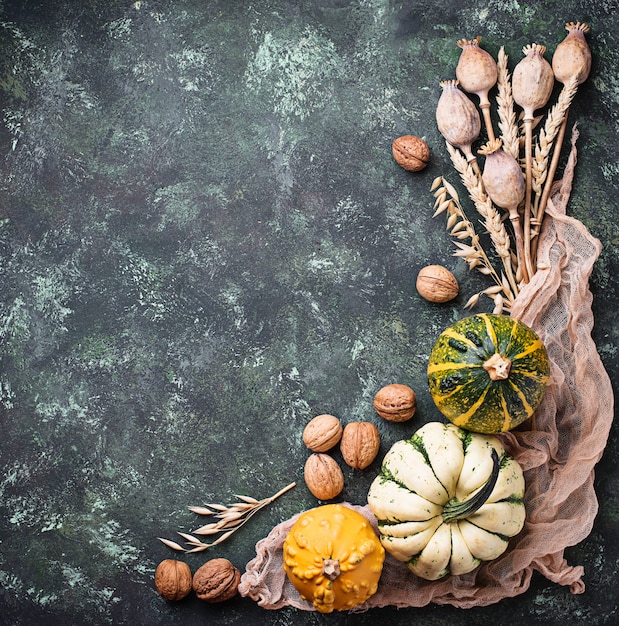 Sfondo autunnale con zucche e noci.