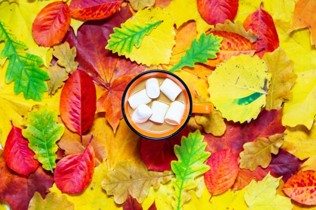 Sfondo autunnale di foglie rosse, gialle e verdi e una tazza di cacao. Lay piatto, copia spazio.