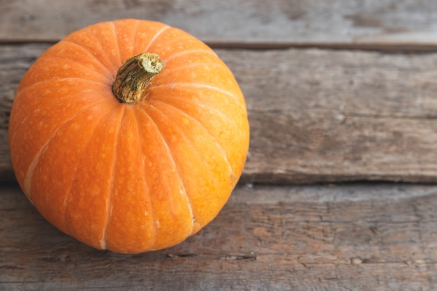 Sfondo Autunnale. Zucca naturale di vista di caduta di autunno su fondo di legno. Carta da parati ispiratrice di ottobre o settembre. Cambio del concetto di cibo biologico maturo di stagioni. Festa di Halloween Giorno del Ringraziamento