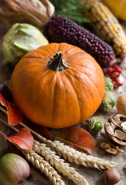 Sfondo autunno con la zucca su un tavolo di legno da vicino